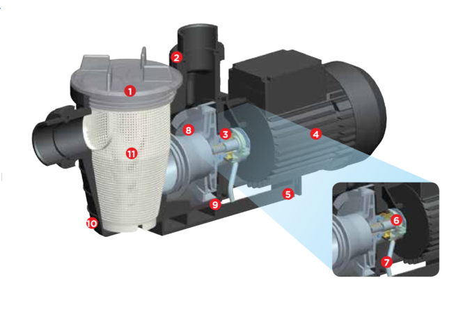 cấu tạo bơm nước bể bơi hãng waterco