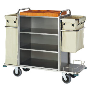 xe đẩy inox