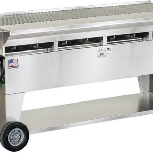 Bếp nướng inox