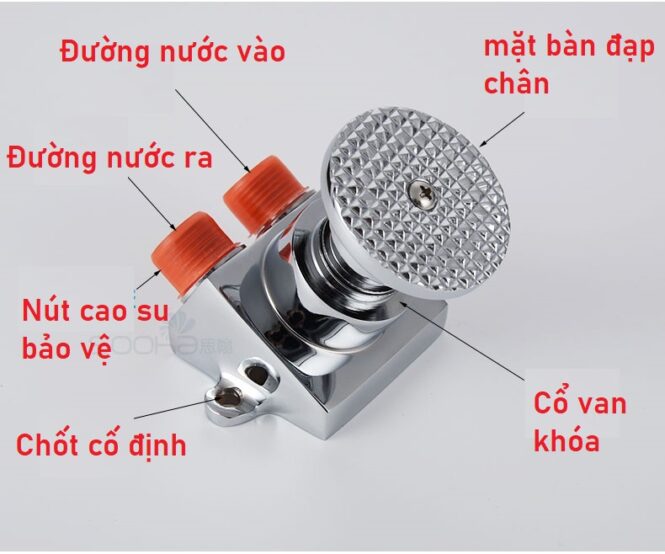 chi tiết cấu tạo của vòi nước đạp chân hình tròn