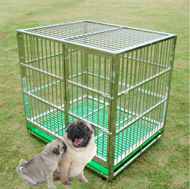 chuồng chó PUG bằng inox 
