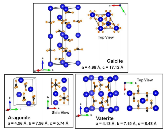 sự thay đổi của cấu trúc phân tử Ca2+