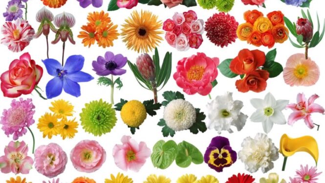 Bảng tra thông số độ ẩm nông sản để sấy khô