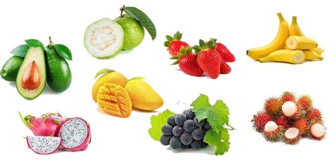 Bảng tra thông số độ ẩm nông sản để sấy khô