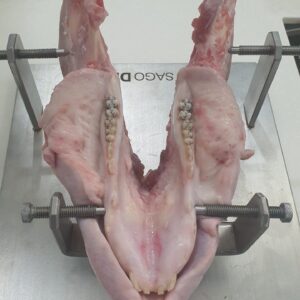 giá inox giữ mẫu vật thực hành trong ngành y