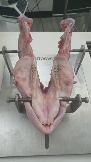 giá inox giữ mẫu vật thực hành trong ngành y