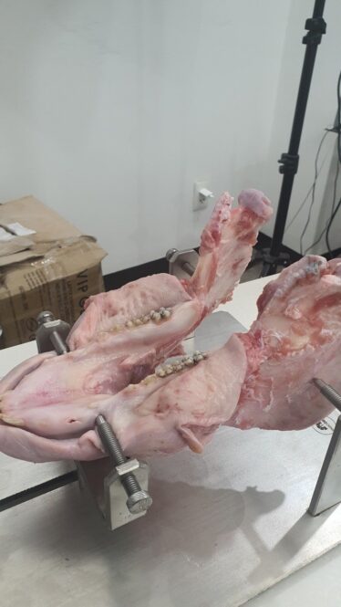 giá inox giữ mẫu vật thực hành trong ngành y