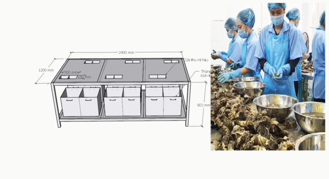 bàn thao tác tách vỏ hàu